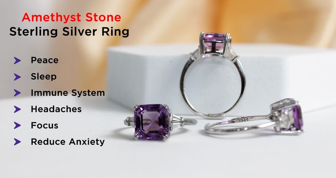 Professional Vastu Consultant